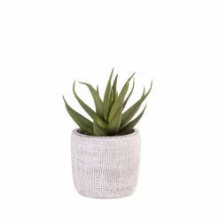 BAZAAR Pot De Fleurs Naturel