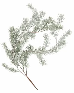 CEDER Branche Décorative Vert