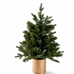 CEDER Branche Décorative Vert
