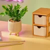 CERA Plante Artificielle Diverses Couleurs