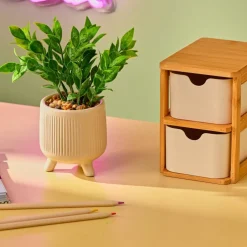 CERA Plante Artificielle Diverses Couleurs