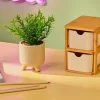 CERA Plante Artificielle Diverses Couleurs