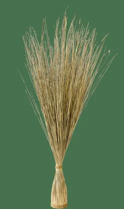 COGON Botte D'herbe Naturel