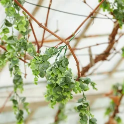 COLLAR Vase Vert