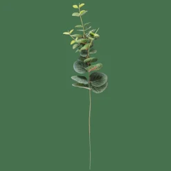 EUCALYPTUS Tige Artificielle Vert