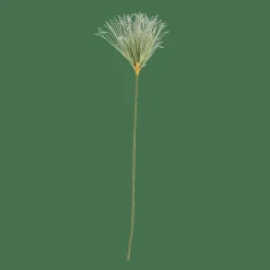 GRASS Botte D'herbe Vert