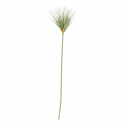GRASS Botte D'herbe Vert