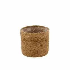 GREEN Boule Buis Vert