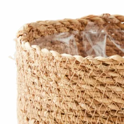 GREEN Boule Buis Vert