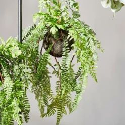 GREENERY Pot à Suspendre Avec Fougère Vert