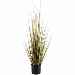 HERBA Herbe En Pot Vert