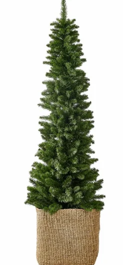 HYMNE Branche Décorative Vert