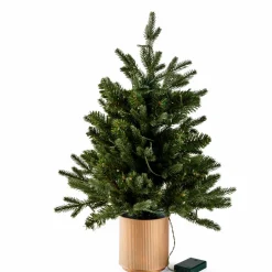 HYMNE Branche Décorative Vert