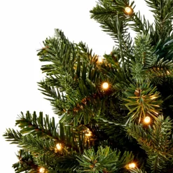 HYMNE Branche Décorative Vert