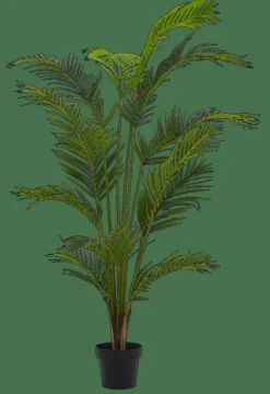 KWAI Palmier Vert