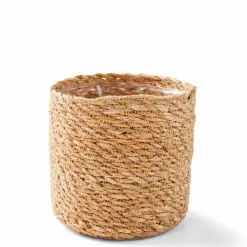 KWAI Palmier Vert