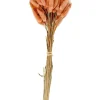 LAGURUS Lagure Ovale Rose