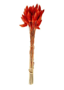LAGURUS Lagure Ovale Rouge