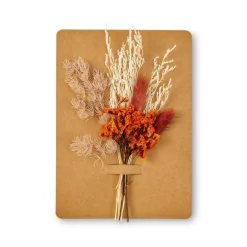 MIA Décoration Séchée Orange