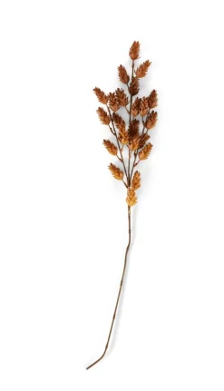 ODON Vase Brun