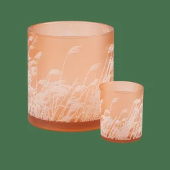 PAMPAS Photophore Orange
