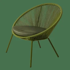 PAPAYO Chaise Lounge Avec Coussin Vert