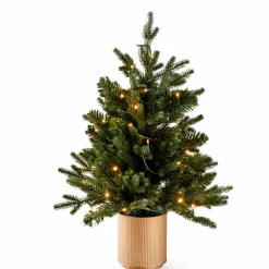 PINUS Branche De Noël Rouge, Vert