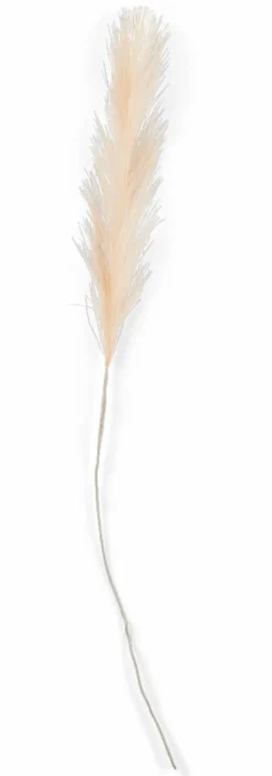 PLUME Plumes Décoratives Brun Clair