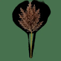 PLUME Tige Panache Brun