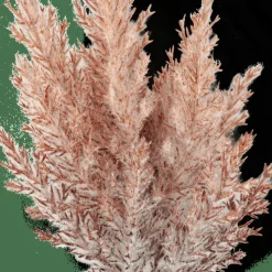 PLUME Tige Panache Orange