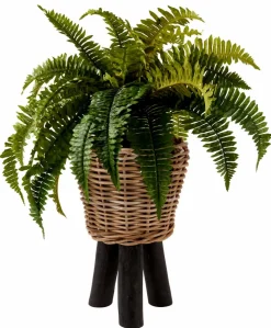 STALLE Porte-plante Noir