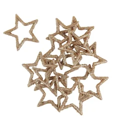 STAR Décoration Séchée