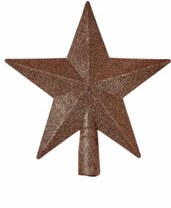 STAR Décoration Séchée