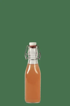 SWING Bouteille 0,25 L Transparent