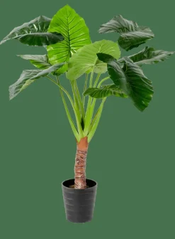TARO Plante Artificielle Arum Vert